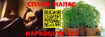 гашик Тверь