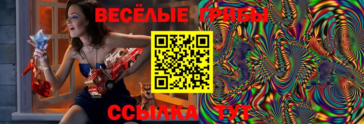 Псилоцибиновые грибы Psilocybe  Вход с VPN  Балашов 
