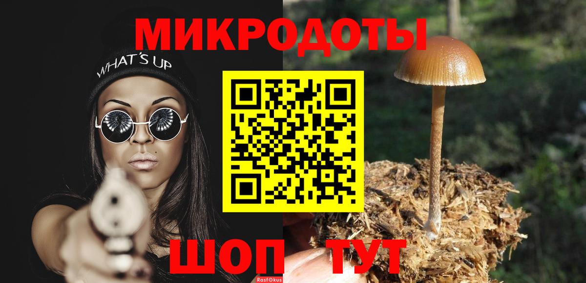 Псилоцибиновые грибы мухоморы Балашов